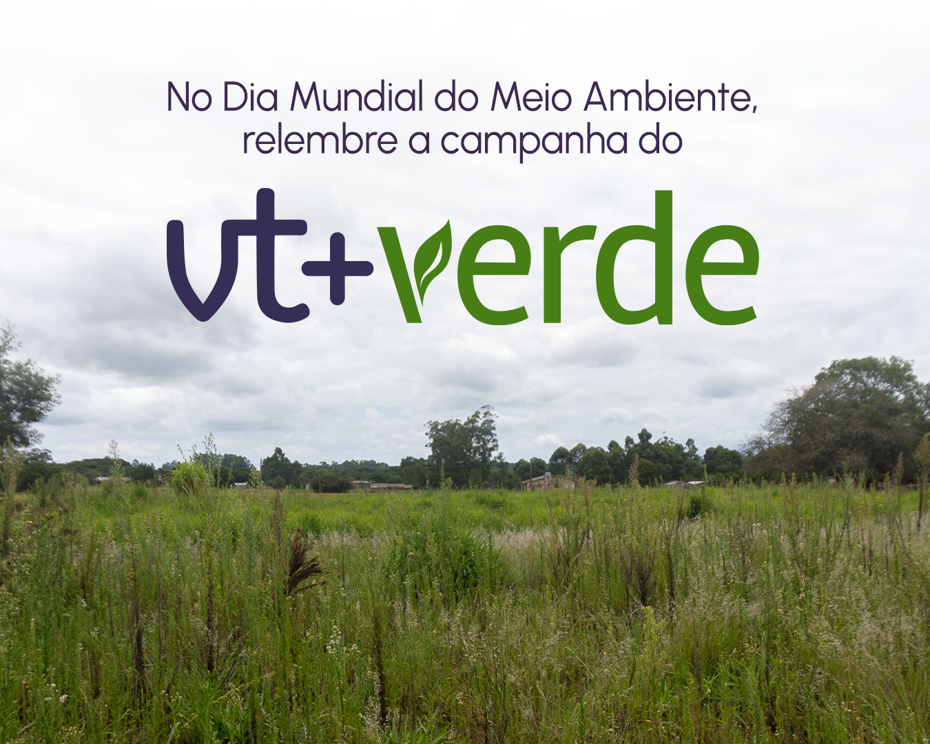 VT+ Verde: Dia Mundial do Meio Ambiente